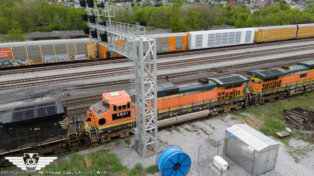 NS 3921